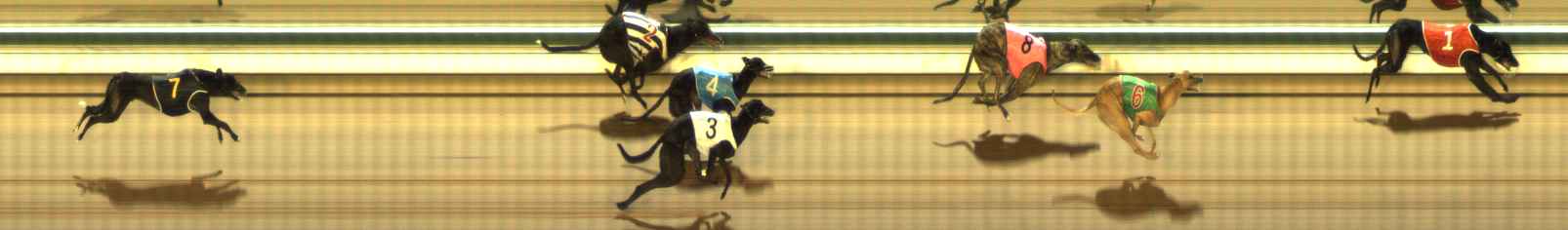 Photo finish for The Meadows Race 6