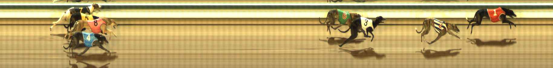 Photo finish for The Meadows Race 7
