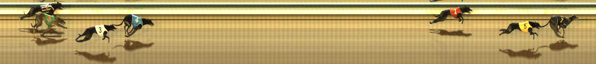 Photo finish for The Meadows Race 8