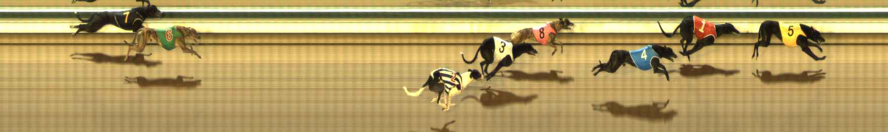 Photo finish for The Meadows Race 9