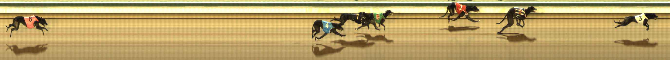 Photo finish for The Meadows Race 10