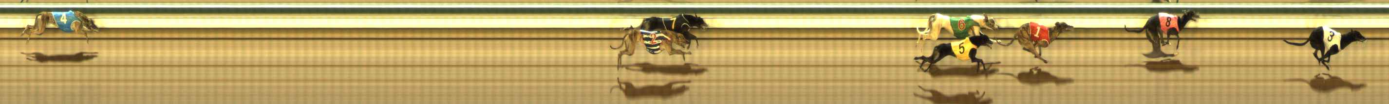 Photo finish for The Meadows Race 11