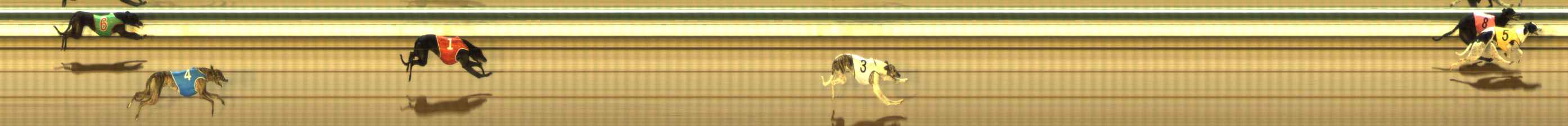Photo finish for The Meadows Race 12