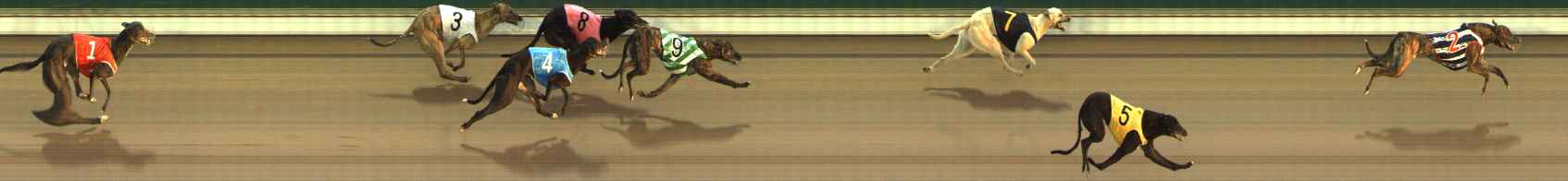 Photo finish for The Meadows Race 1
