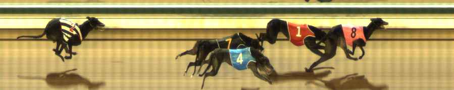 Photo finish for The Meadows Race 3