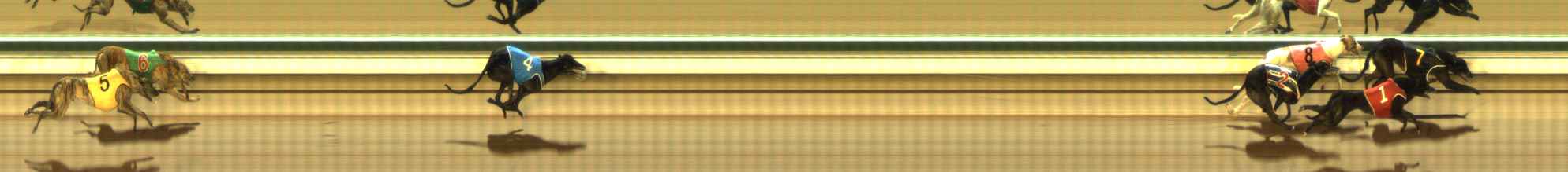 Photo finish for The Meadows Race 5