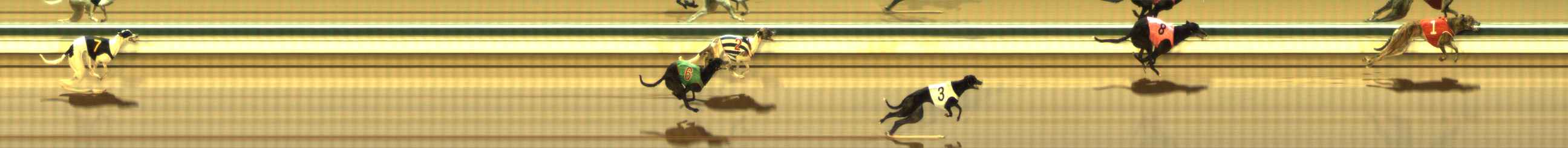 Photo finish for The Meadows Race 6
