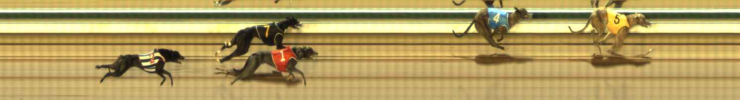Photo finish for The Meadows Race 8