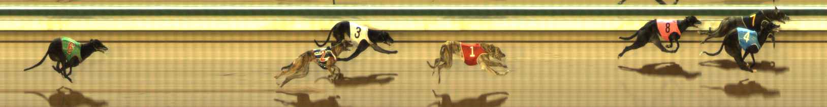 Photo finish for The Meadows Race 9
