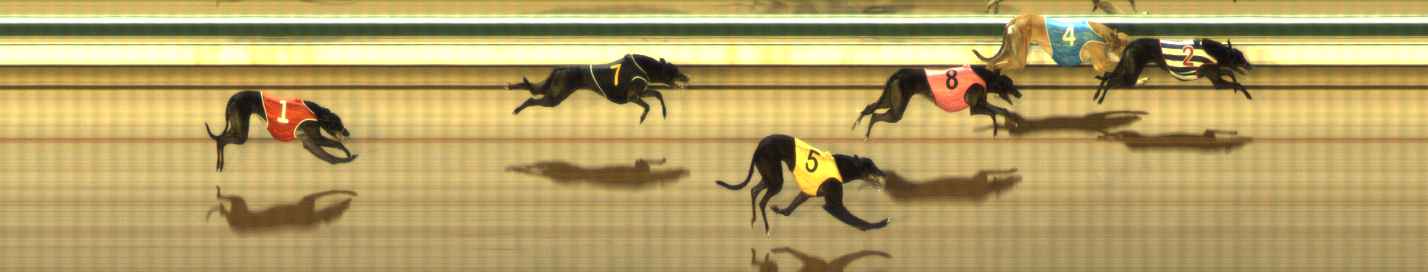 Photo finish for The Meadows Race 10