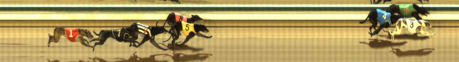 Photo finish for The Meadows Race 11