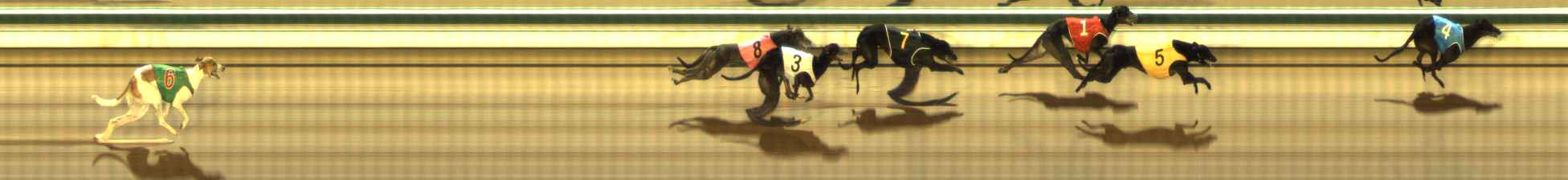 Photo finish for The Meadows Race 12