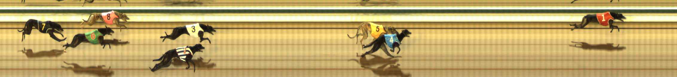 Photo finish for The Meadows Race 4
