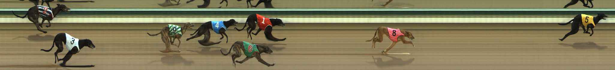 Photo finish for The Meadows Race 1