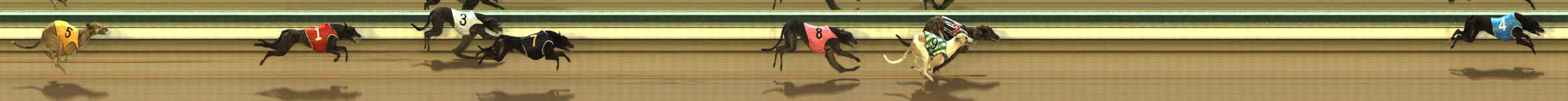Photo finish for The Meadows Race 2