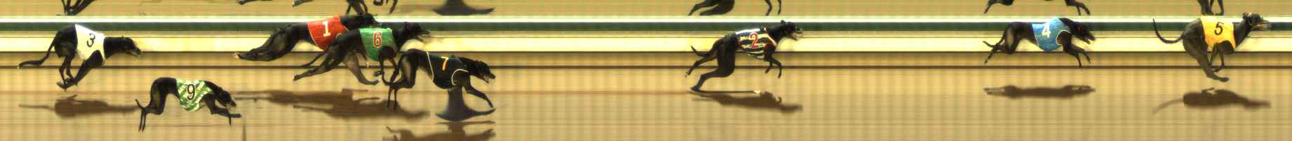 Photo finish for The Meadows Race 3