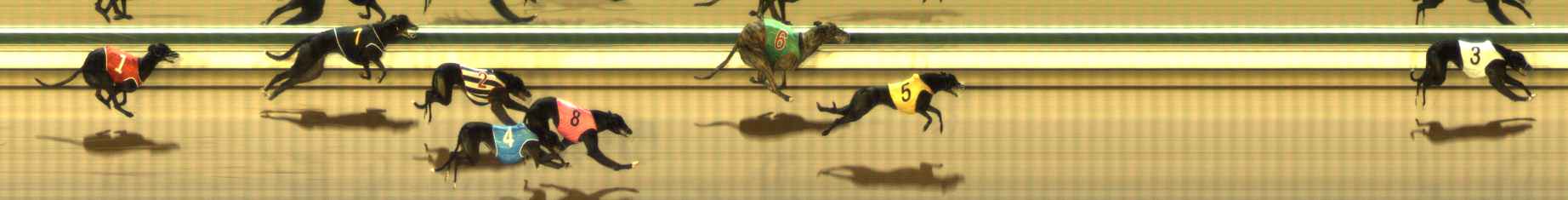 Photo finish for The Meadows Race 4