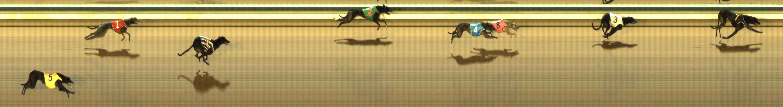 Photo finish for The Meadows Race 5