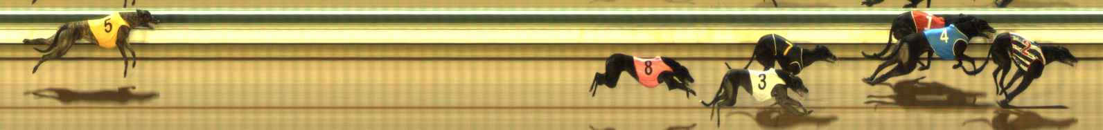 Photo finish for The Meadows Race 6