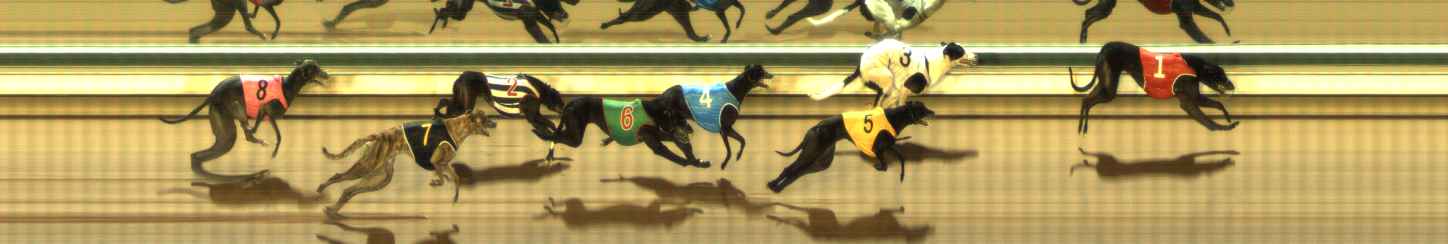 Photo finish for The Meadows Race 8