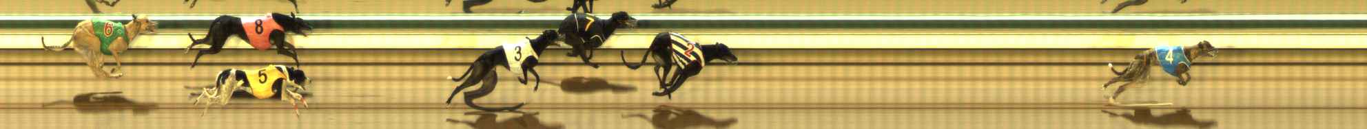 Photo finish for The Meadows Race 10
