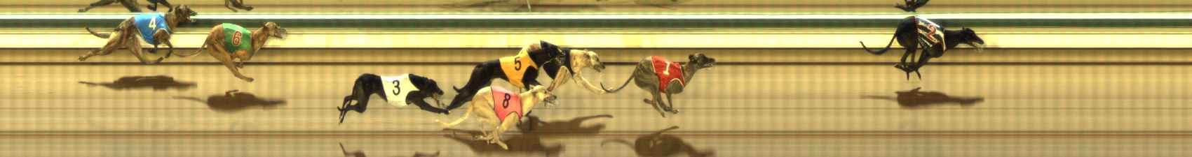 Photo finish for The Meadows Race 11