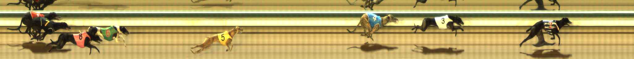 Photo finish for The Meadows Race 12