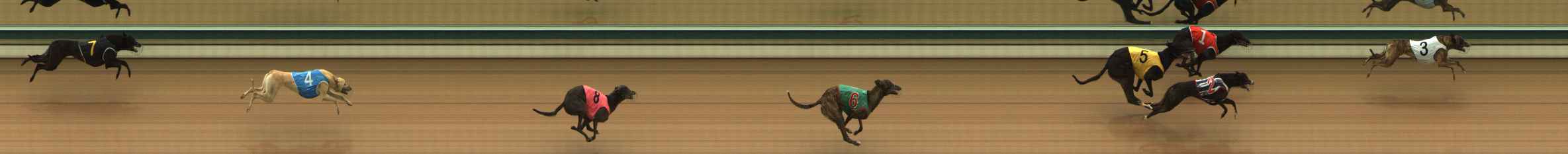 Photo finish for The Meadows Race 1
