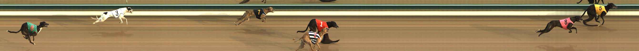 Photo finish for The Meadows Race 2