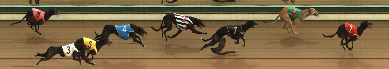 Photo finish for The Meadows Race 3