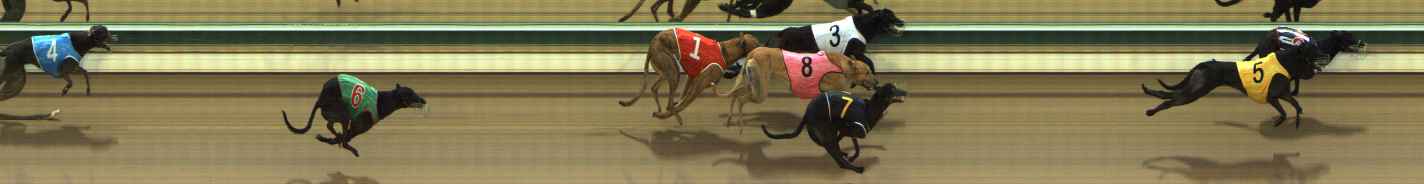 Photo finish for The Meadows Race 4