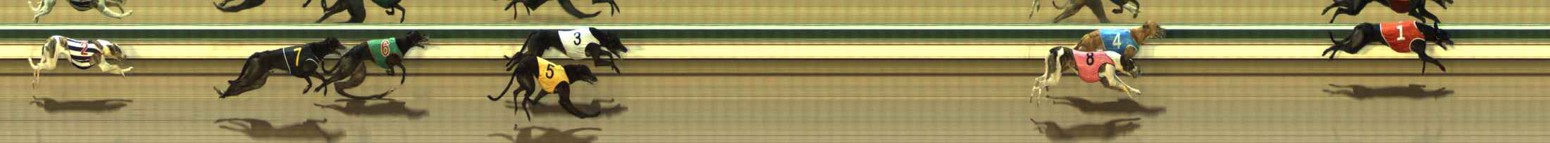 Photo finish for The Meadows Race 5
