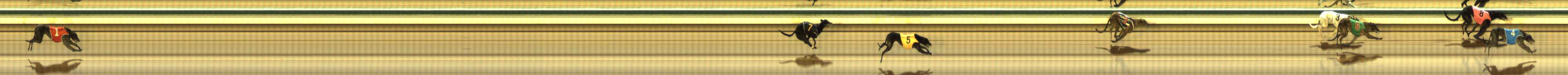 Photo finish for The Meadows Race 6