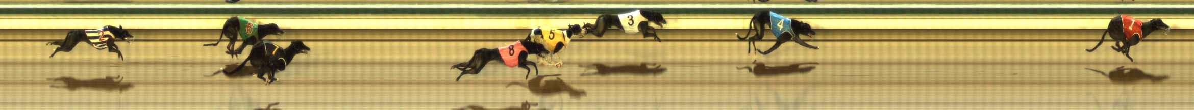 Photo finish for The Meadows Race 7