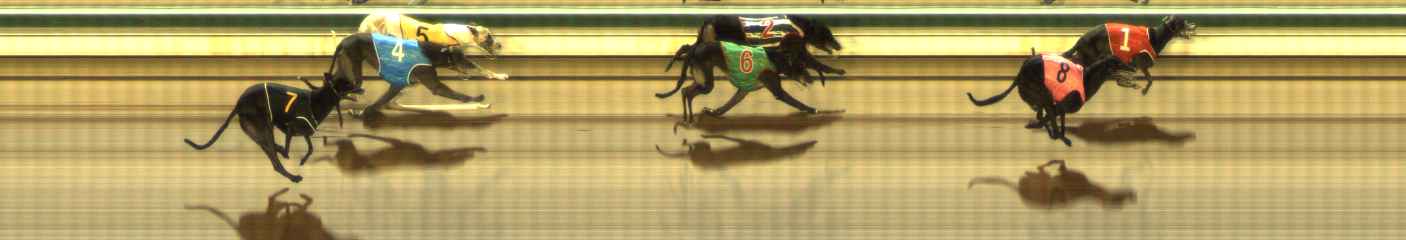 Photo finish for The Meadows Race 8