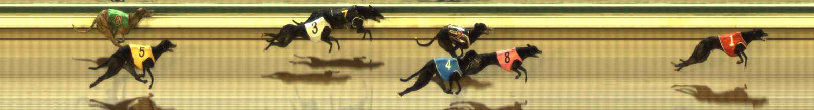 Photo finish for The Meadows Race 9