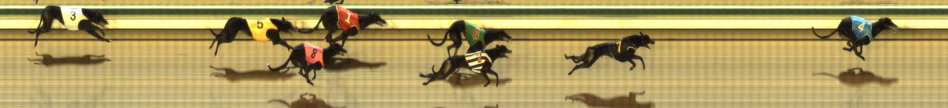 Photo finish for The Meadows Race 10