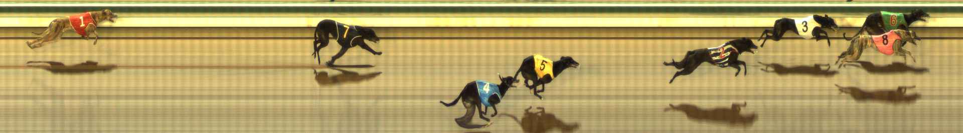 Photo finish for The Meadows Race 11