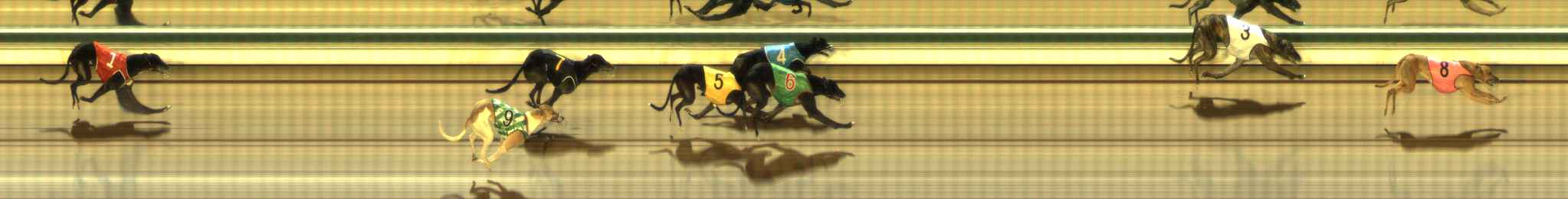Photo finish for The Meadows Race 12