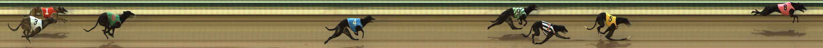 Photo finish for The Meadows Race 2