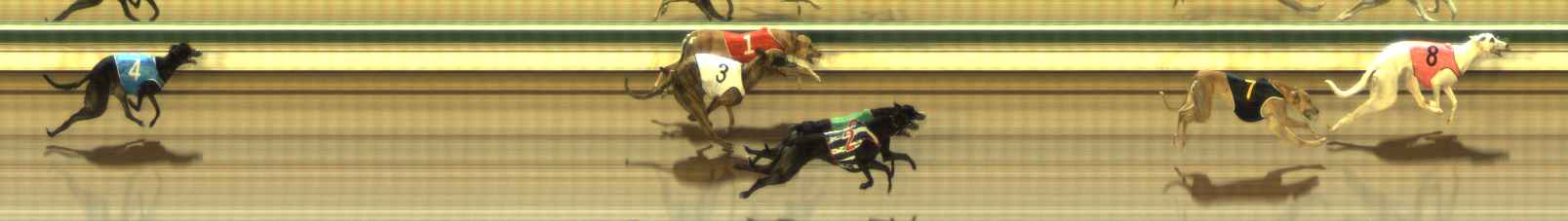 Photo finish for The Meadows Race 3