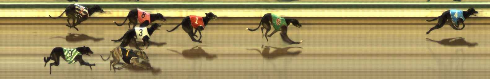 Photo finish for The Meadows Race 4