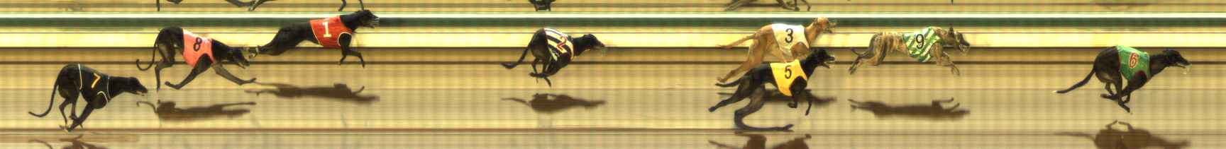 Photo finish for The Meadows Race 5