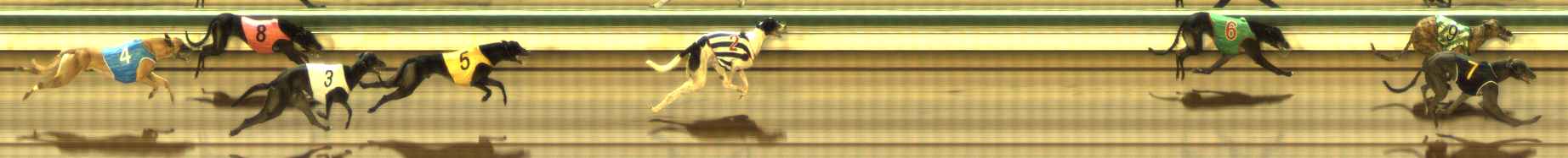 Photo finish for The Meadows Race 6