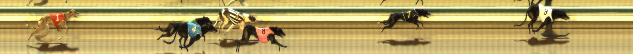 Photo finish for The Meadows Race 7