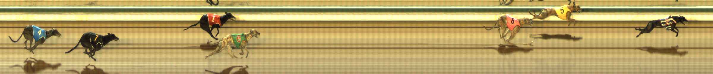 Photo finish for The Meadows Race 8