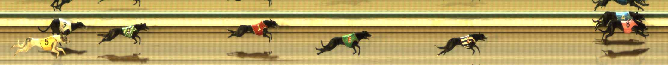Photo finish for The Meadows Race 9