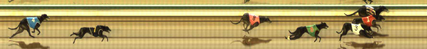 Photo finish for The Meadows Race 10
