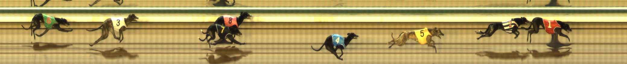 Photo finish for The Meadows Race 11