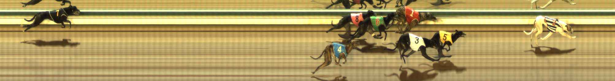 Photo finish for The Meadows Race 12